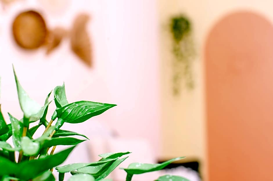 Apto lindo e aconchegante com piscina 202A