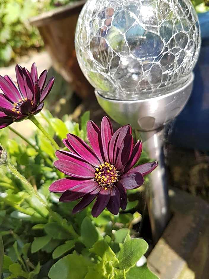 Pensalda Guest House