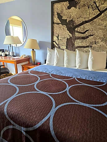 1 King Bed Non-Smoking