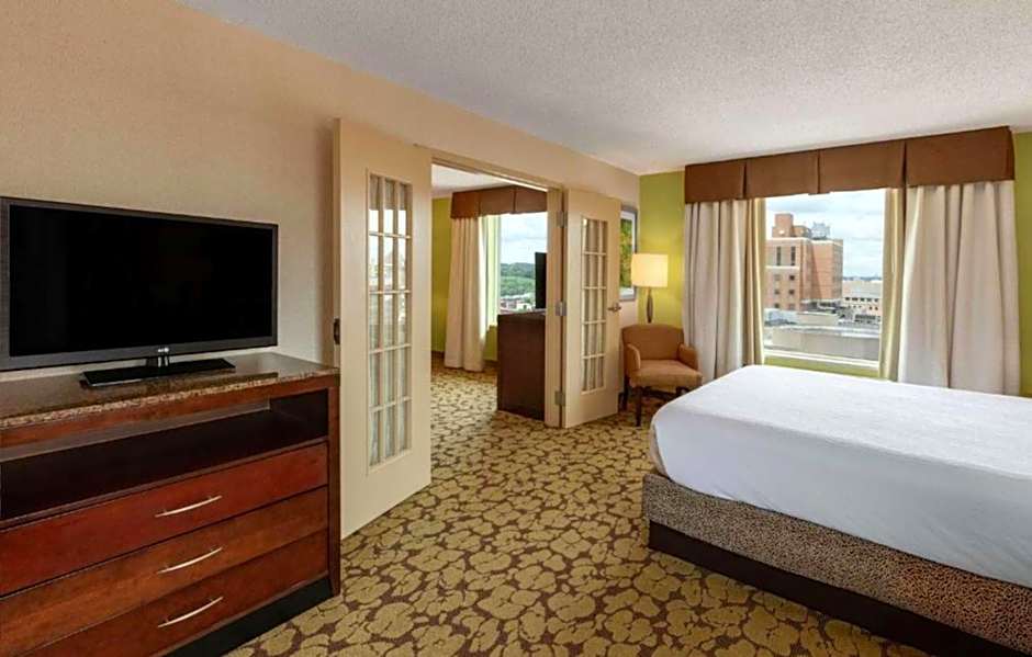 Hilton Garden Inn Pittsburgh-University Center, Pa