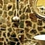 Cave Art Hotel