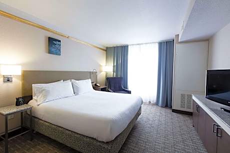 1 King Bed Junior Suite With Sofabed