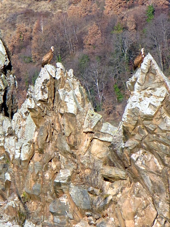 La Fontaine - Chambres d'Hôtes