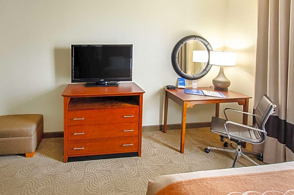 Comfort Inn & Suites Santee