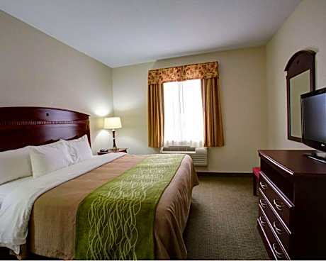 1 King Bed Suite Nonsmoking