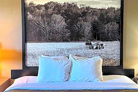 King Room - Non-Smoking