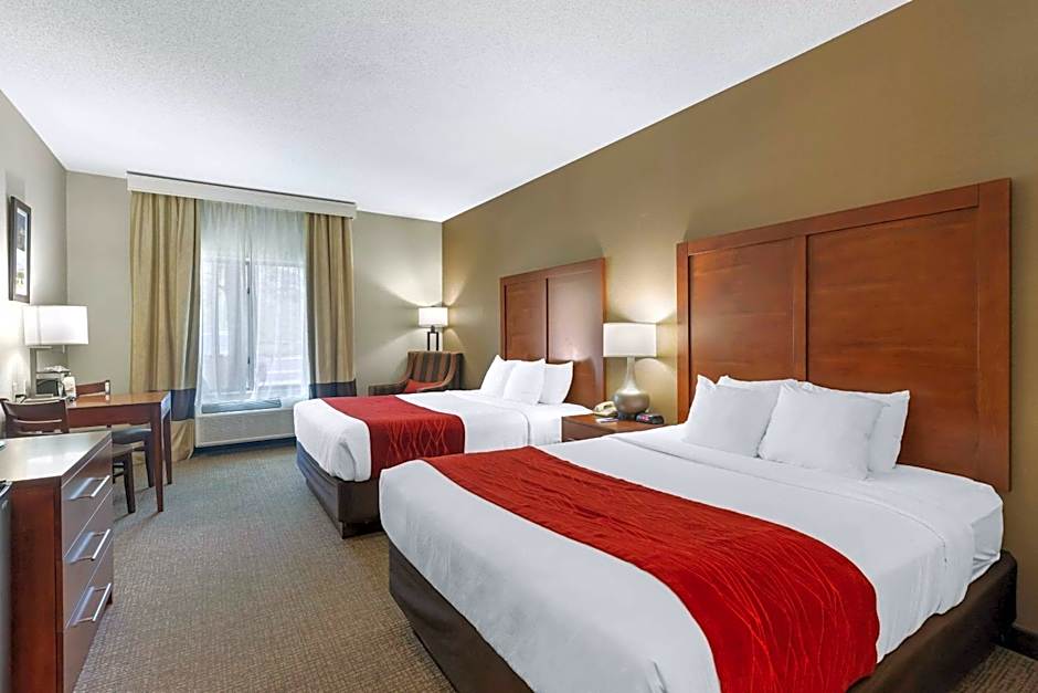 Comfort Inn & Suites Rapid City