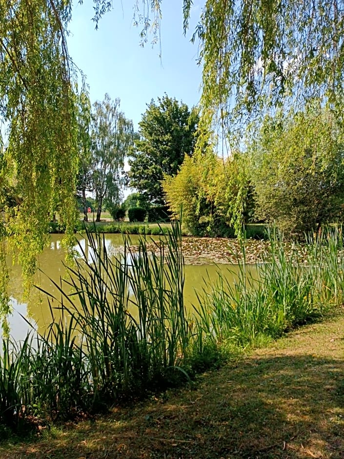 Les ROSEAUX A la Campagne au centre des chateaux de la Loire