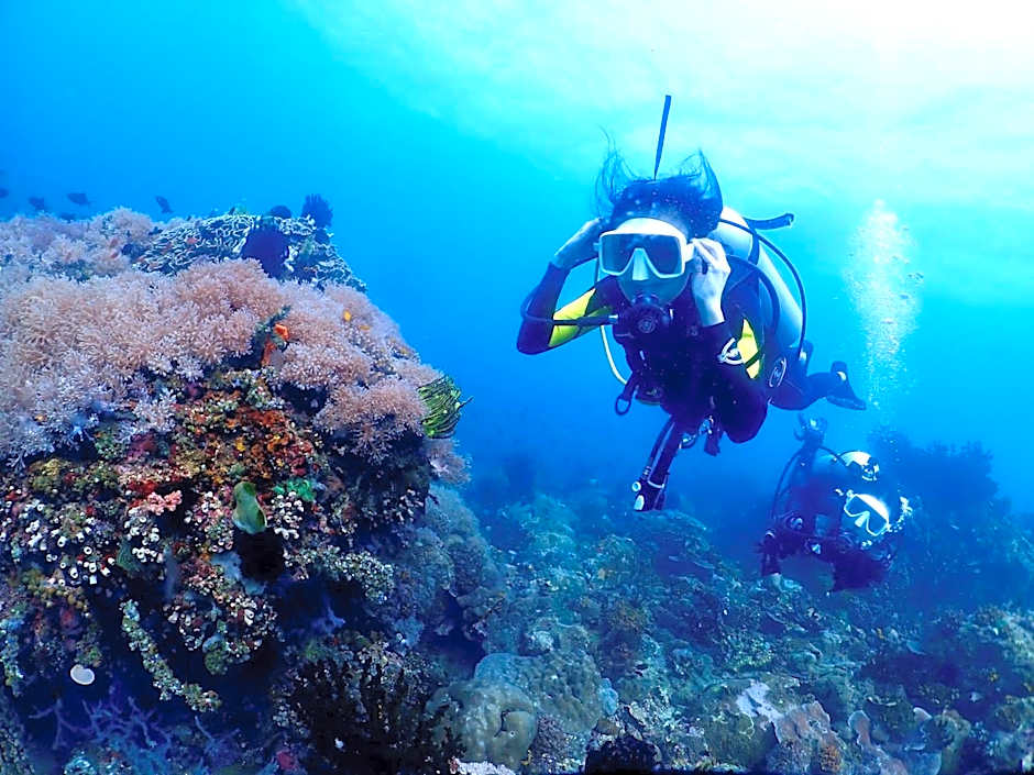 PamAnilao and Padoy's Dive Camp