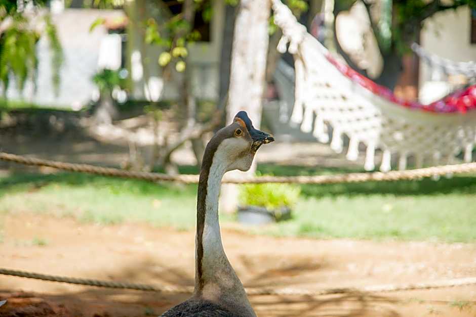 Recanto Caiçara Pousada