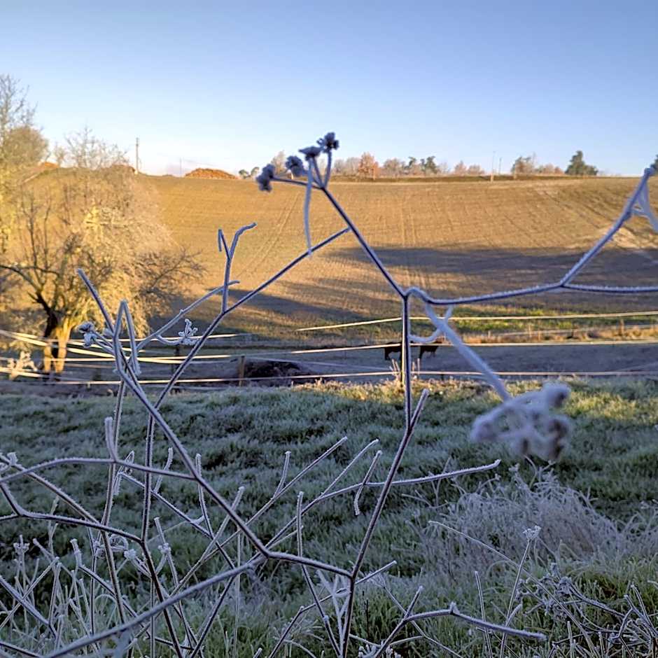 Relais de la poste ch Rose