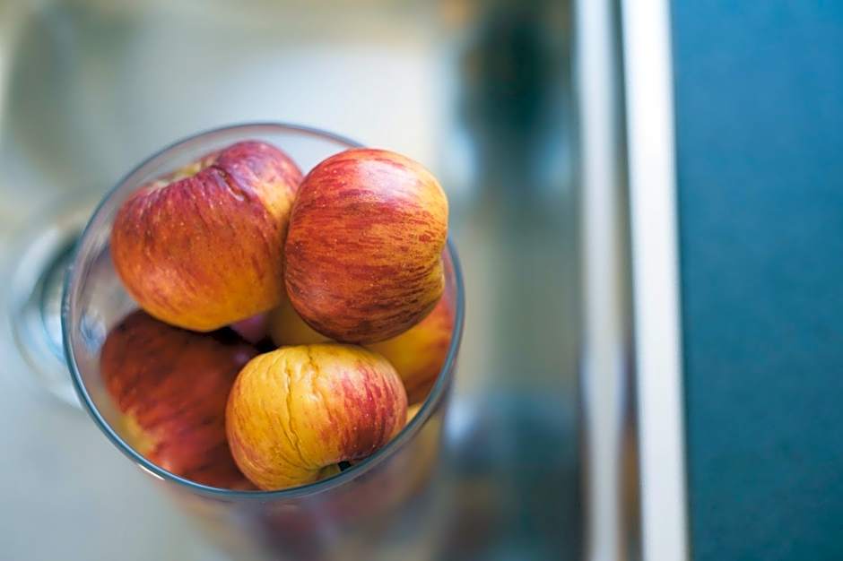 Kopeindlgut Apartments