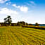 Bayview Pines Country Inn B&B