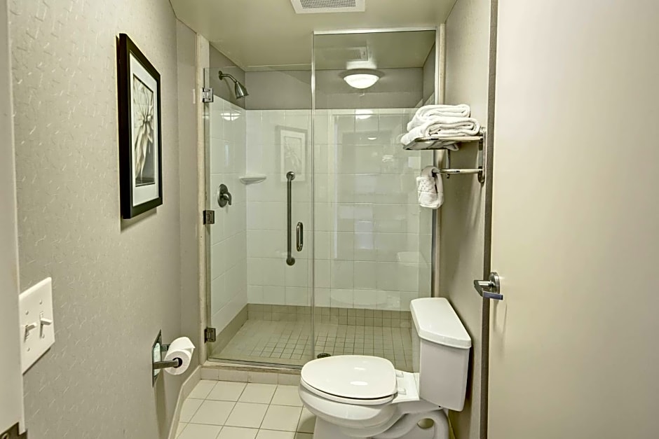 SpringHill Suites by Marriott New Bern