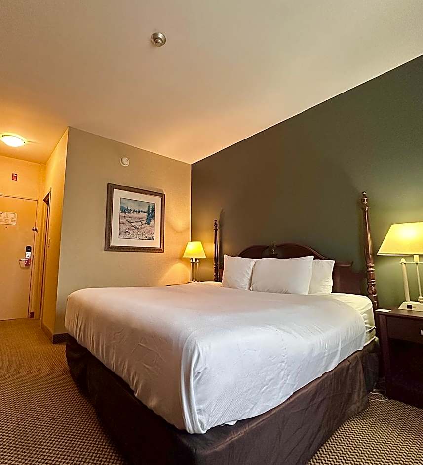 Econo Lodge City Centre