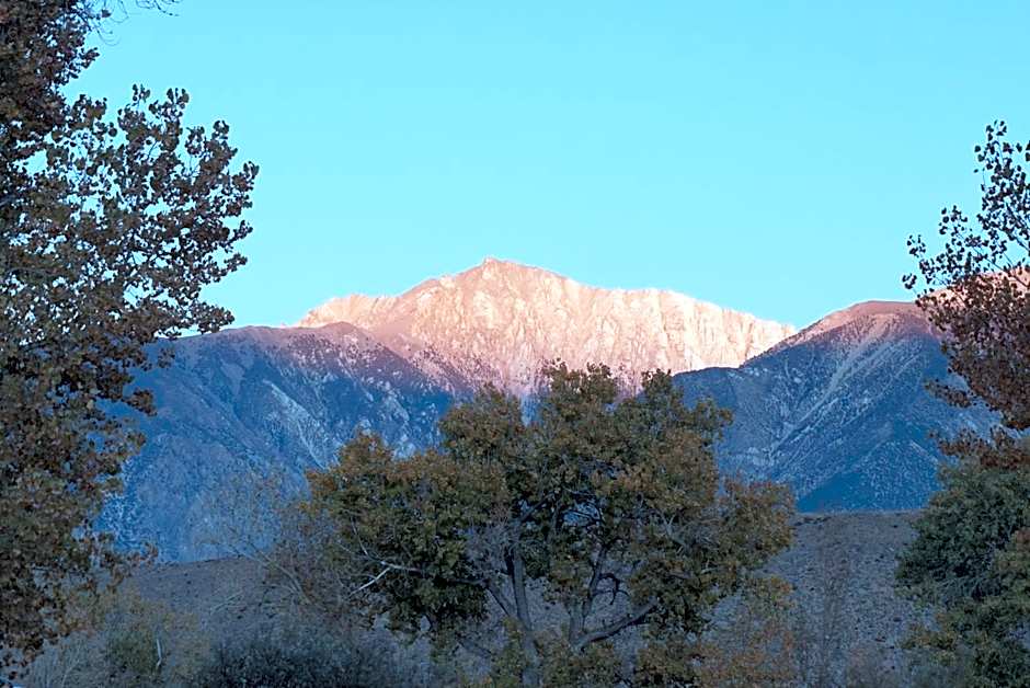 Bristlecone Motel