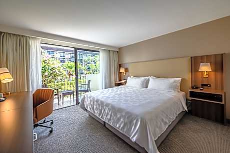 1 King Standard Garden View