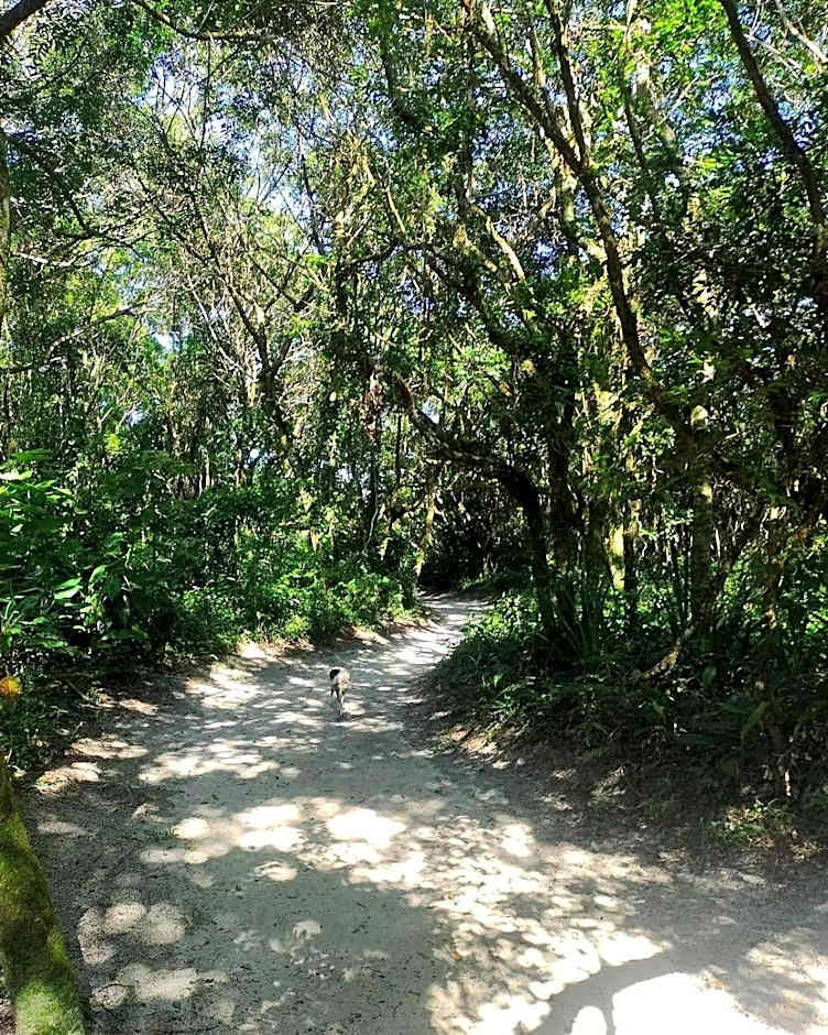 Camping e Pousada do Ade