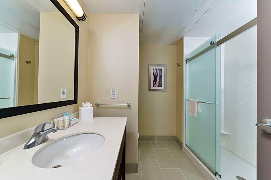 Hampton Inn By Hilton & Suites Des Moines Downtown