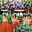 Locanda Fiorita