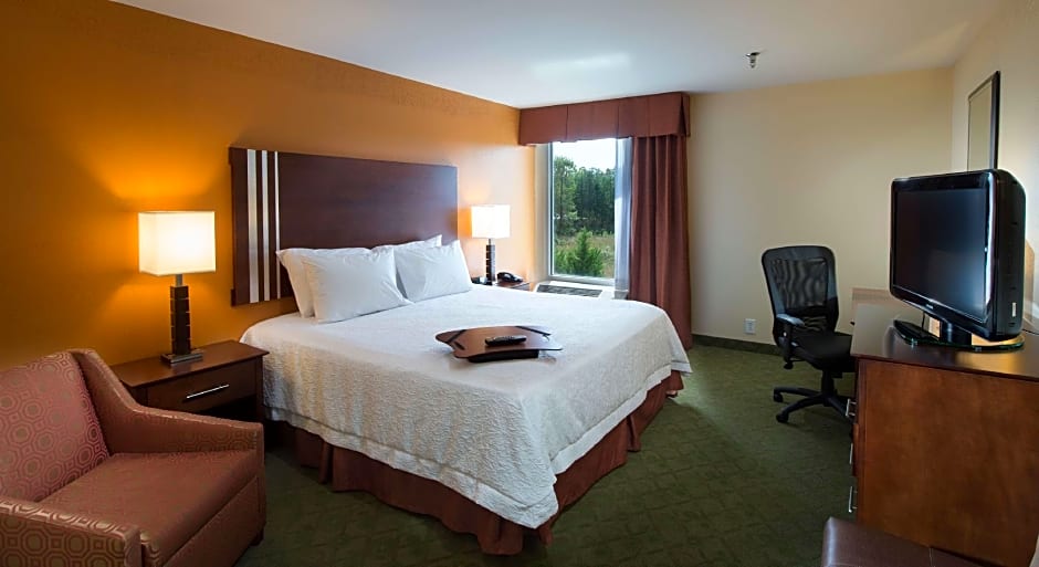 Photo 1 of 4 of 1 Bedroom 1 King Bed with Sofabed Suite
