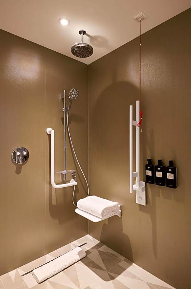 Hotel Saski Krakow Curio Collection by Hilton