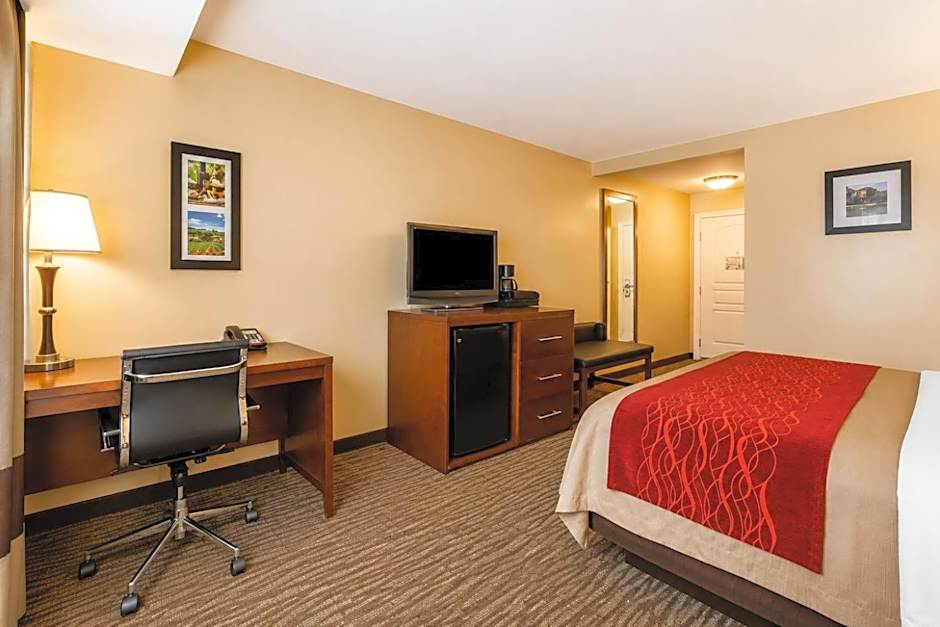 Comfort Inn Pomona Near Fairplex