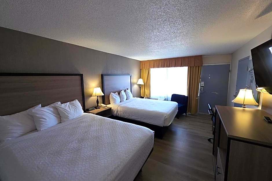Photo 1 of 3 of 2 Queen Beds