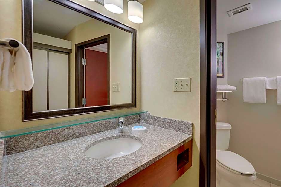 DRURY INN & SUITES CHARLOTTE UNIVERSITY PLACE