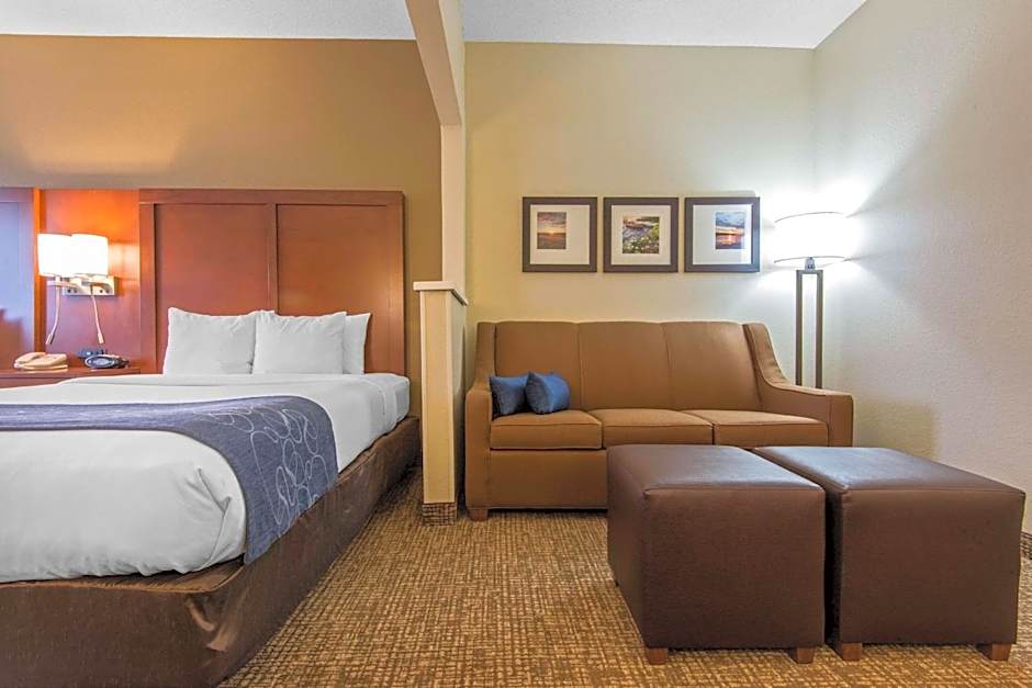 Comfort Suites Rochester Henrietta University Area