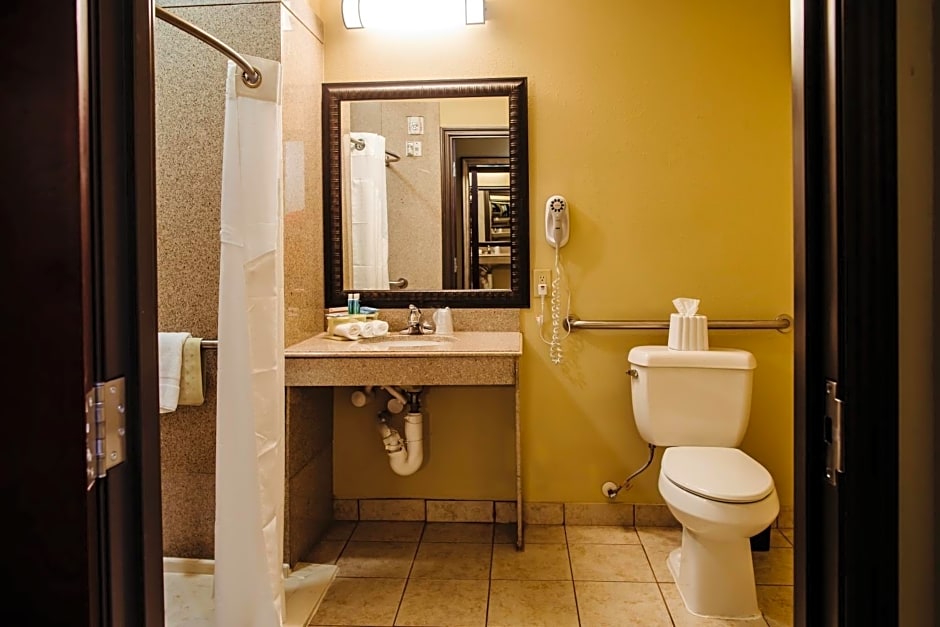 Holiday Inn Express Hotel & Suites Waller By IHG