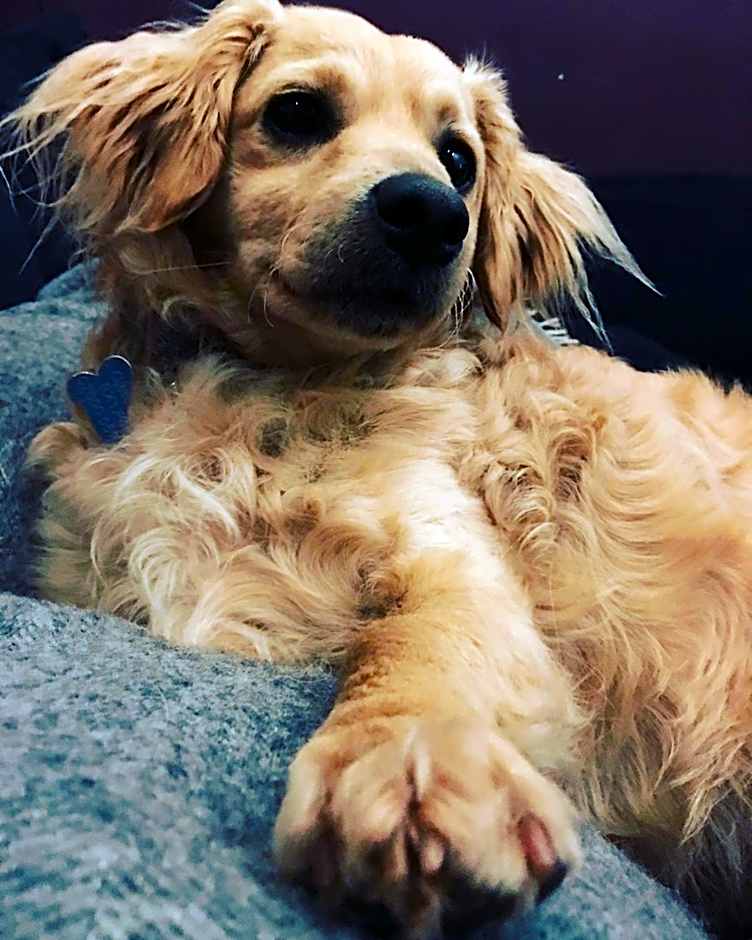 Union Road Moto Velo Accommodation