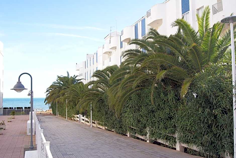 Kione Las Margaritas