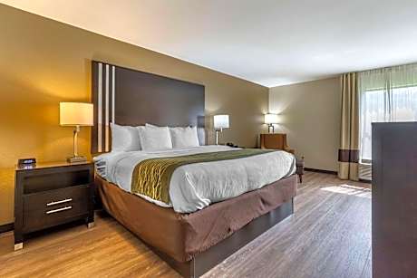 King Room with Parking Area View - Non-Smoking