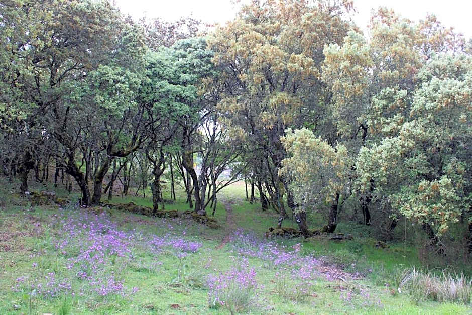 Quinta da Devesa -B2