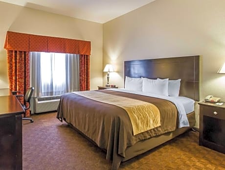 1 King Bed Suite Nonsmoking