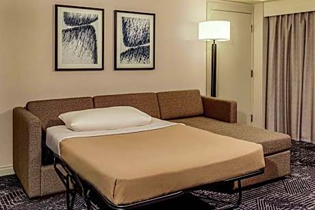Suite, 1 King, Sofa bed