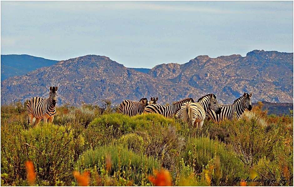 Kagga Kamma Eco Lodge & Spa