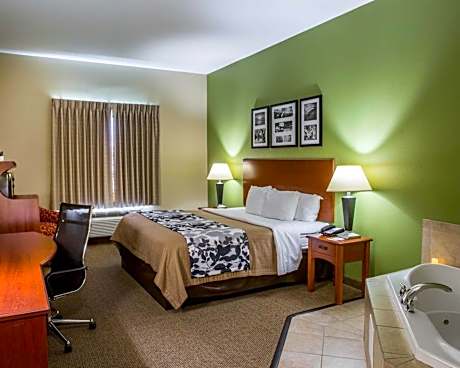 1 King Bed, Suite, Nonsmoking