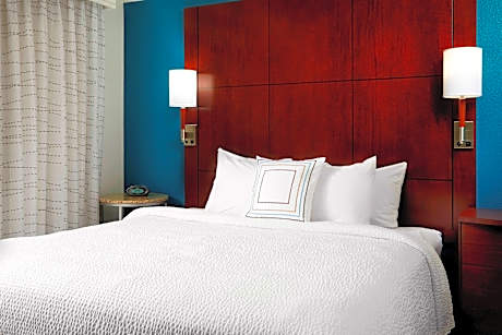 2 Bedroom Suite, Bedroom 1: 1 King, Bedroom 2: 1 Queen, Sofa bed