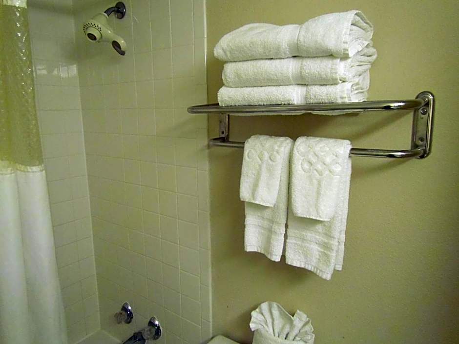 Romana Hotel - Houston Southwest