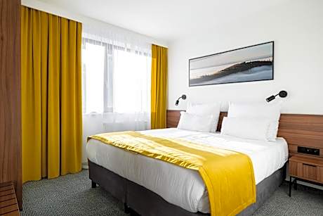 Deluxe One-Bedroom Apartment