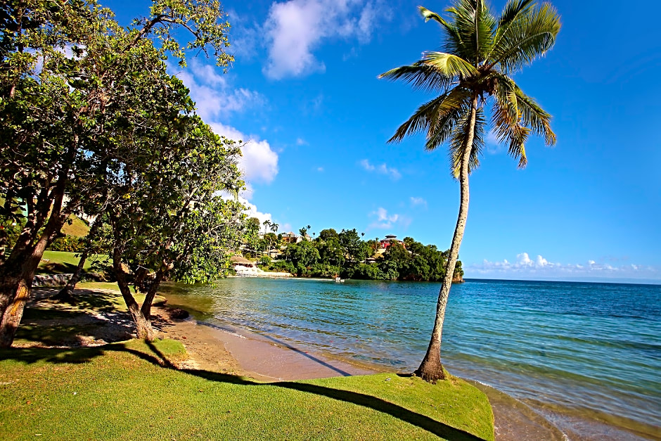 Bahia Principe Grand Cayacoa