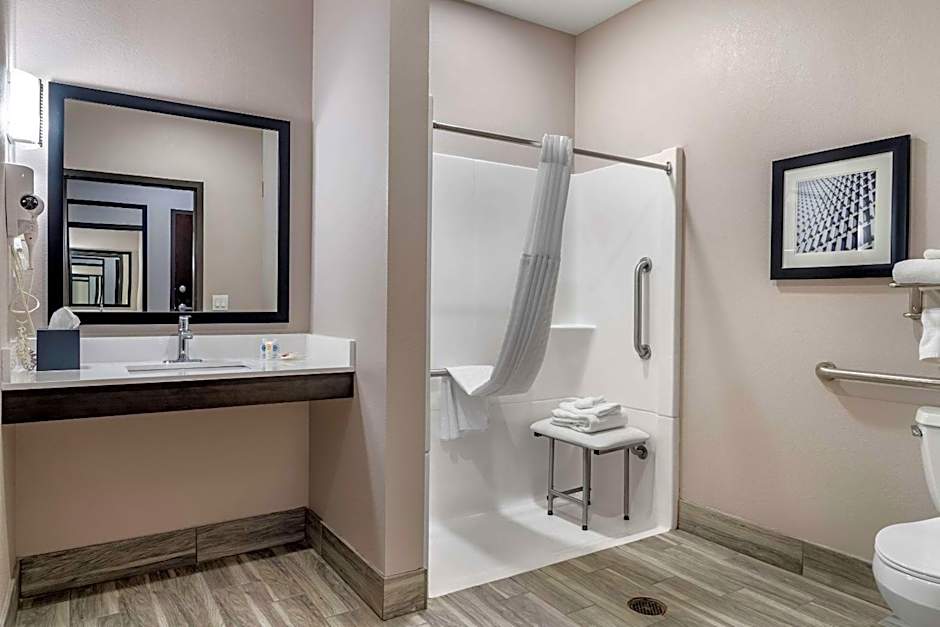 Comfort Suites McDonough Atlanta South