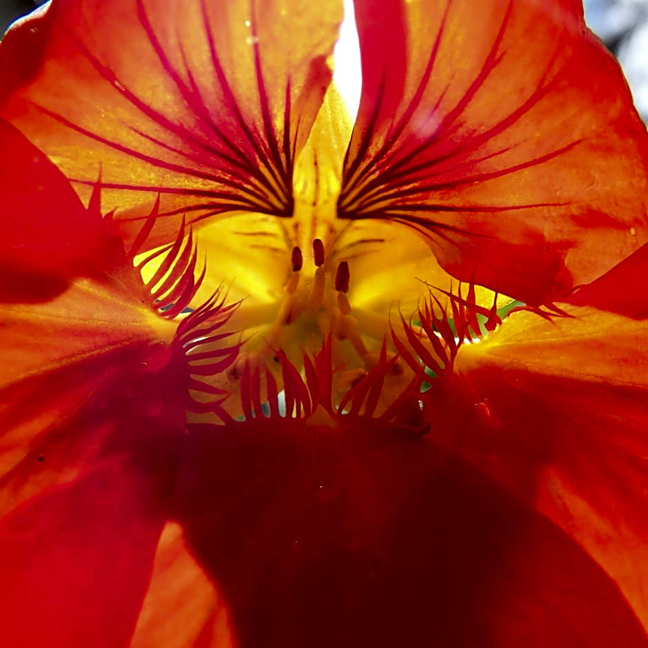 Bowral Road Art Gallery Bed and Breakfast