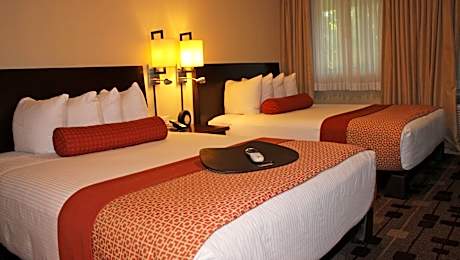 Deluxe Double Beds