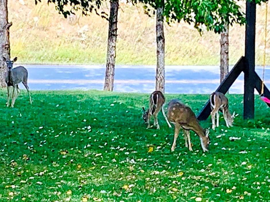 Bavarian Inn, Black Hills