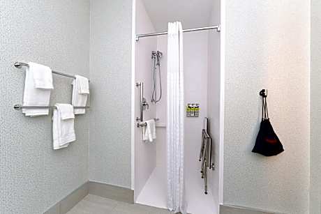 King Room with Roll In Shower - Non-Smoking