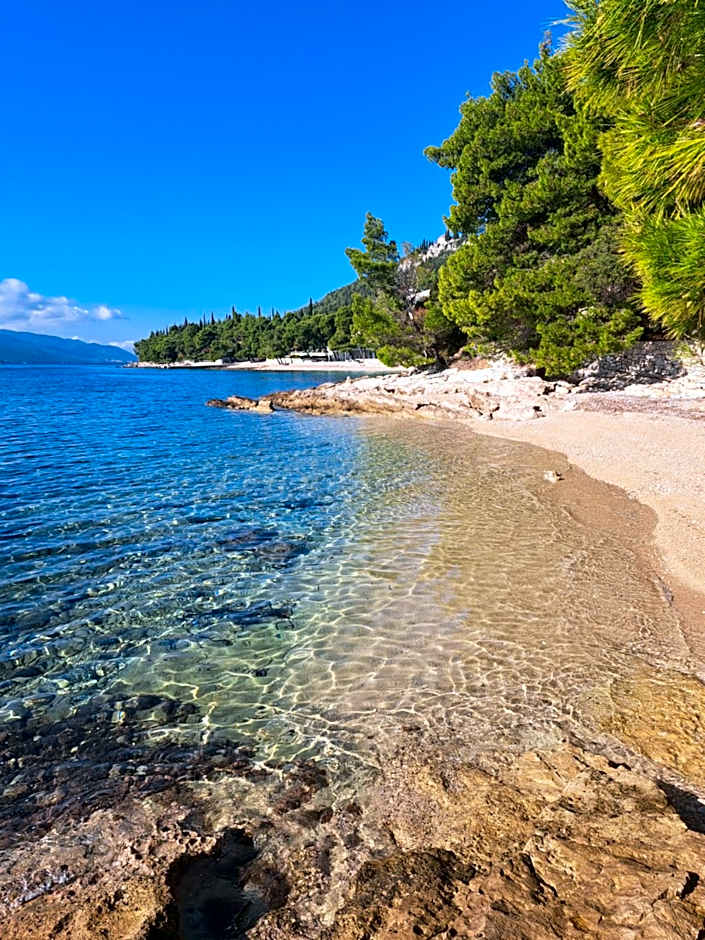 MobileHome - Camp Dalmata