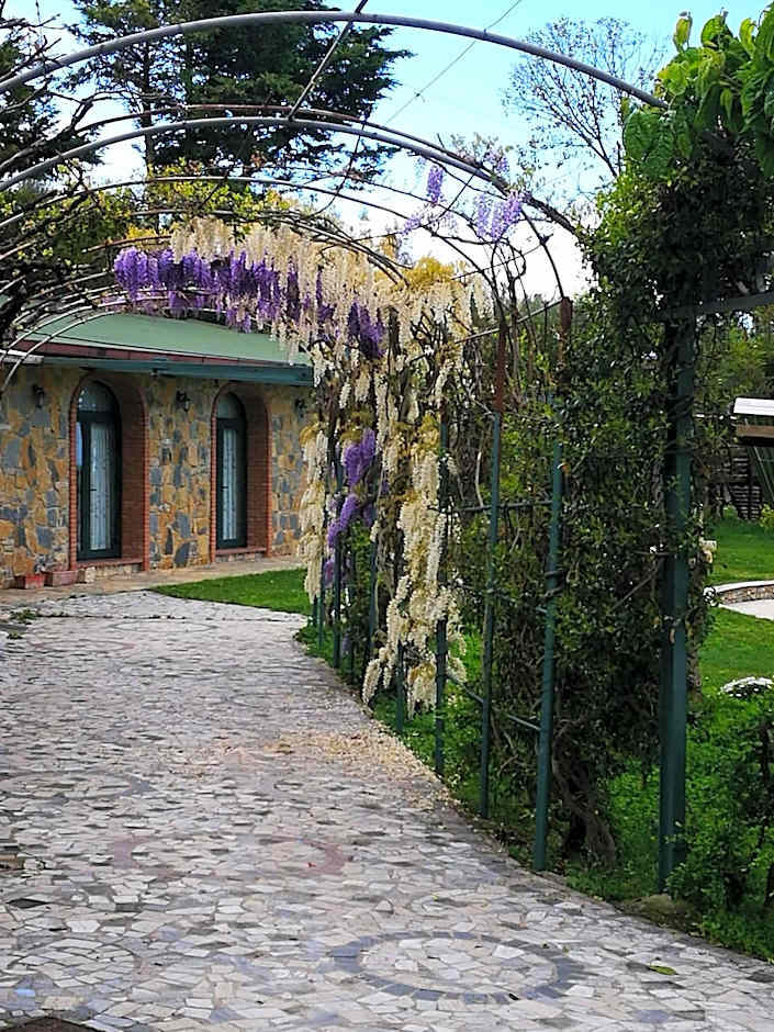 Residenza Giancesare Family Apartments
